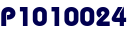 P1010024 P1010024