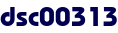 dsc00313